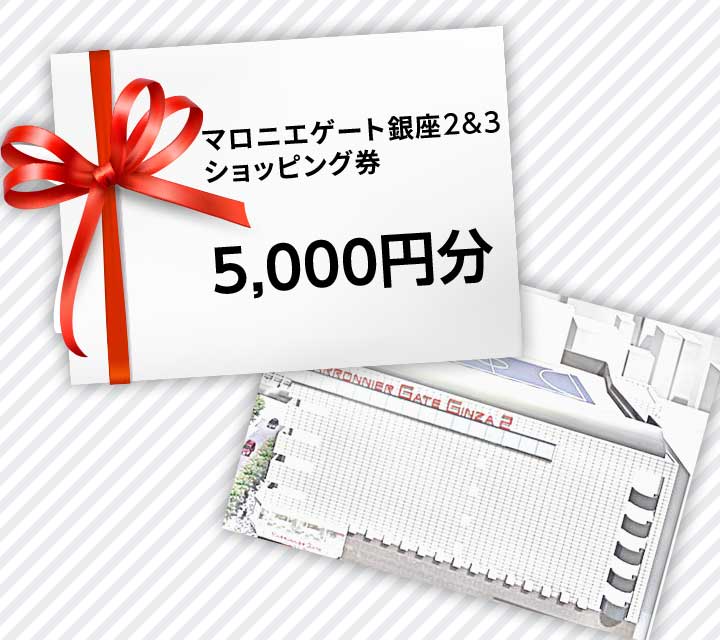 マロニエゲート銀座2&3